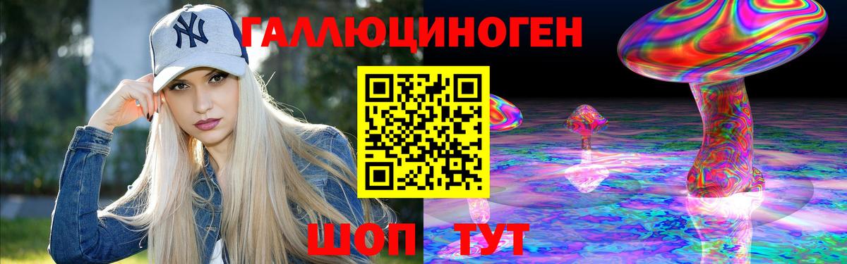 Псилоцибиновые грибы Psilocybine cubensis Новочеркасск